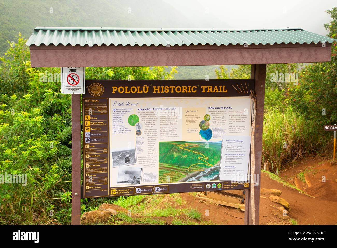 Sentier historique de Pololu, réserve forestière de Kohala (section Pololu), Hawaï Banque D'Images