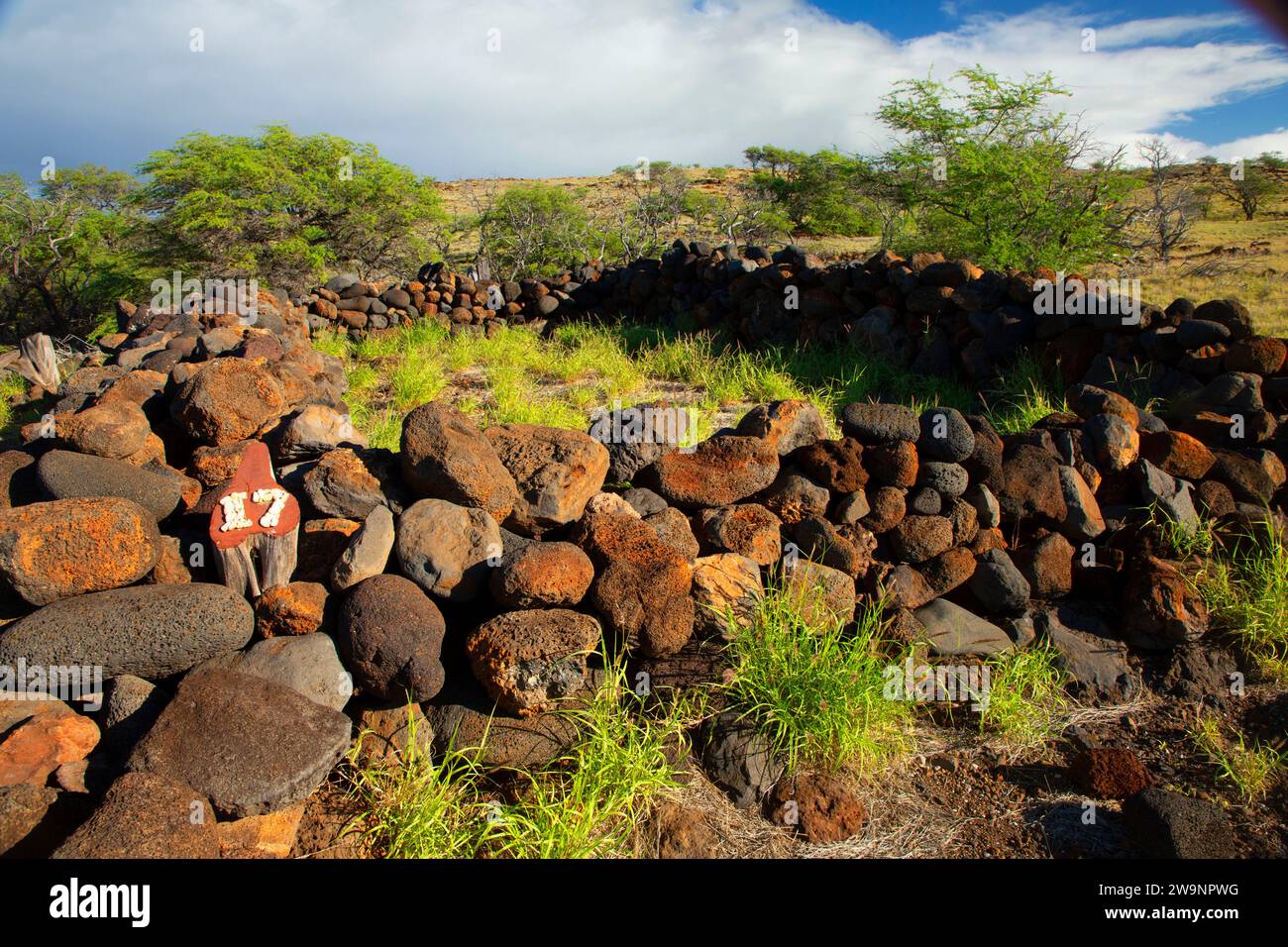 Ruines du mur rocheux du village, Lapakahi State Historical Park, Hawaii Banque D'Images