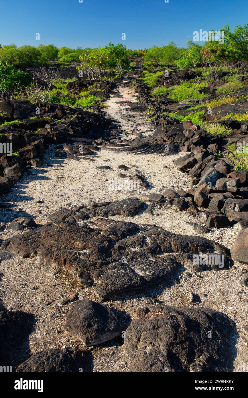 Sentier historique national Ala Kahakai, parc historique national Puuhonua o Honaunau, Hawaï Banque D'Images