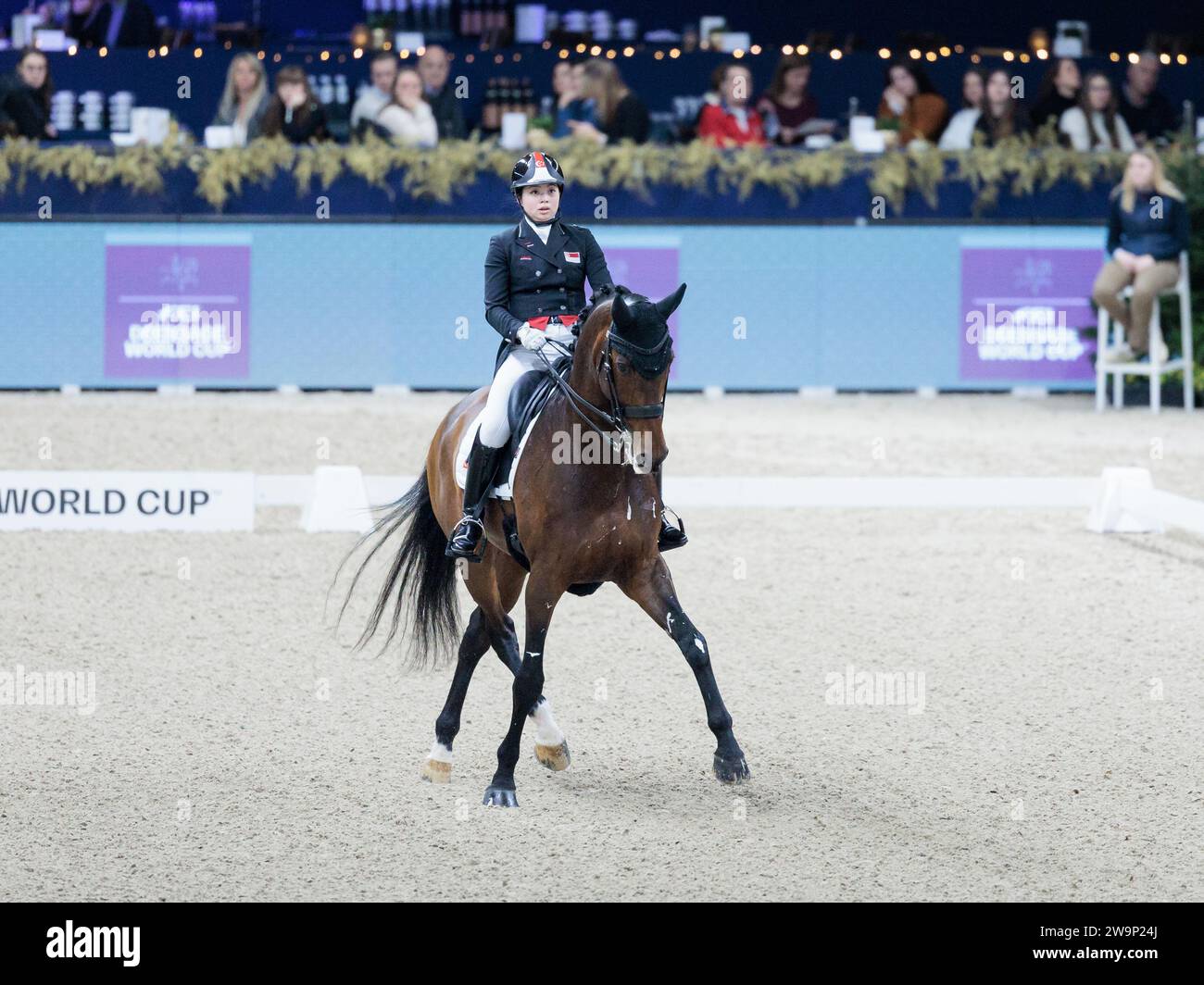 Caroline Chew de Singapour avec Blue hors Zatchmo lors de la coupe du monde FEI dressage Free style au Jumping Mechelen le 29 décembre 2023, Nekkerhal, Belgique (photo de Maxime David - MXIMD Pictures) Banque D'Images