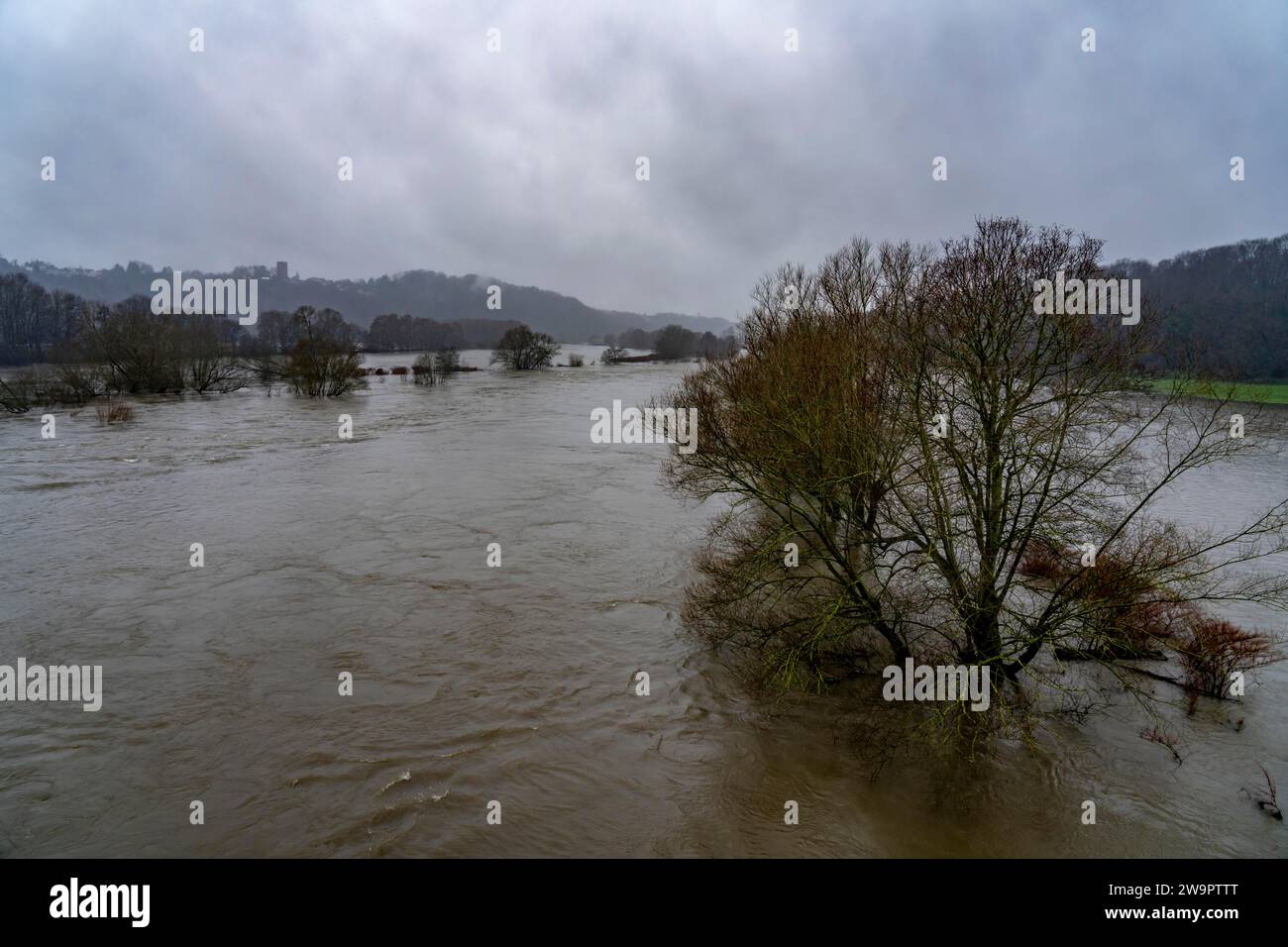 Inondations sur la Ruhr, ici près de Bochum-Stiepel, ont inondé les plaines inondables de la Ruhr après des jours de pluie continue, NRW, Allemagne, Banque D'Images