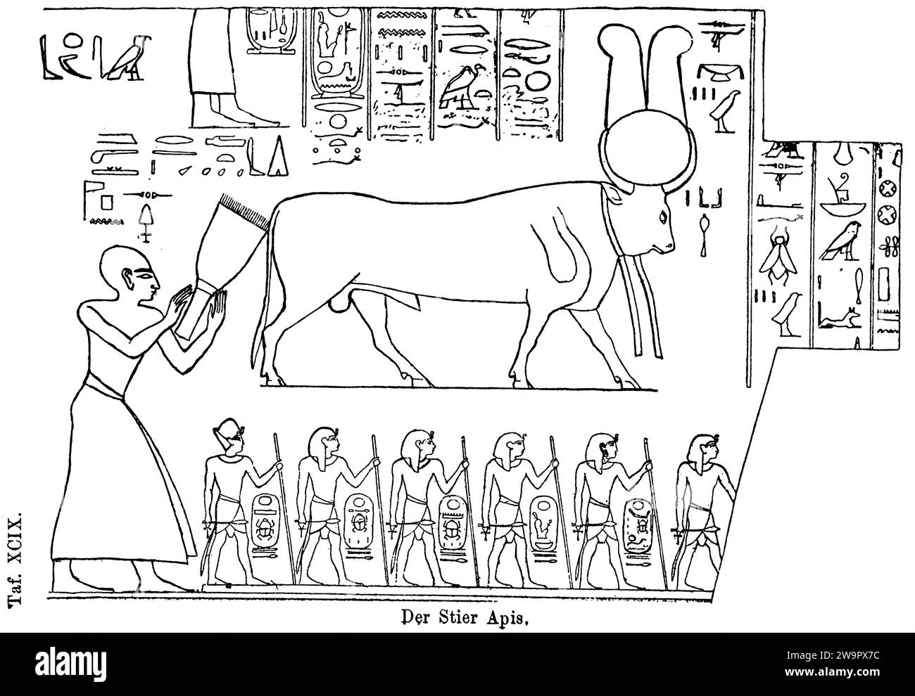 Le taureau sacré (Apis) de Memphis, Nil, Basse Égypte, dieu égyptien de la fertilité, disque solaire, connexion au dieu solaire Re, hiéroglyphes, antiquité Banque D'Images
