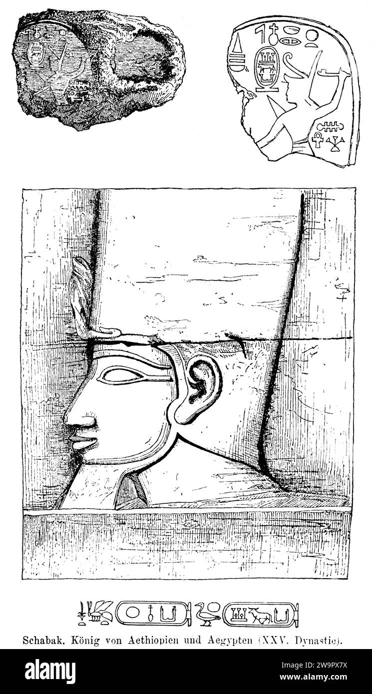 Shabak, roi d'Éthiopie et d'Égypte, XXV dynastie, deux sceaux, portrait vue de côté, barbe, coiffe, antiquité, illustration historique 1886 Banque D'Images