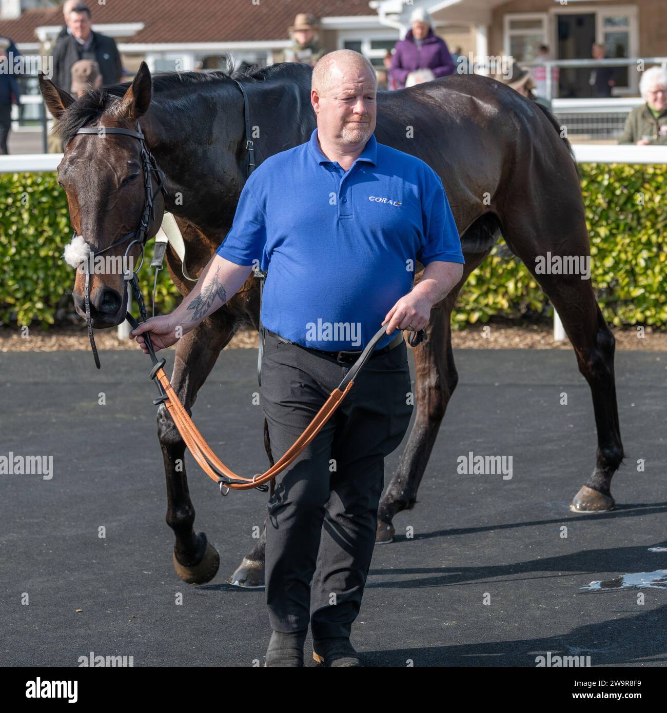 Ambion Hill dans le ring de parade après être arrivé 2e à Wincanton Banque D'Images