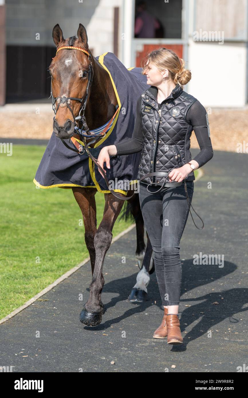 Ballyblack étant conduit autour du terrain de pré-parade par le marié à Wincanton, avant la course de haies, le 21 mars 2022 Banque D'Images