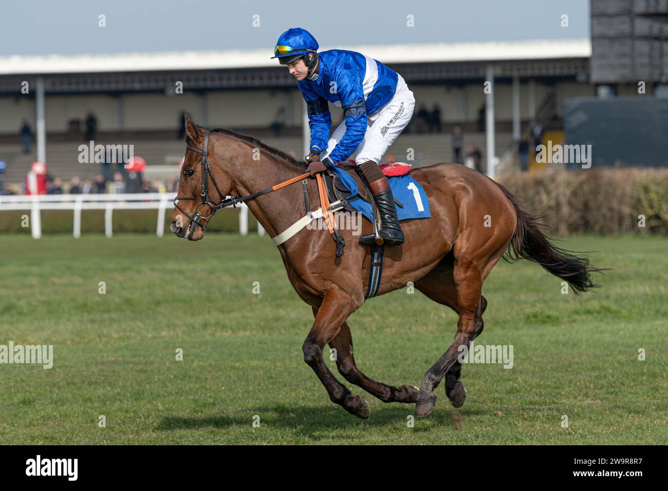 Reserve Tank monté par Brendan Powell pour Joe Tizzard à Wincanton le 21 mars 2022 Banque D'Images