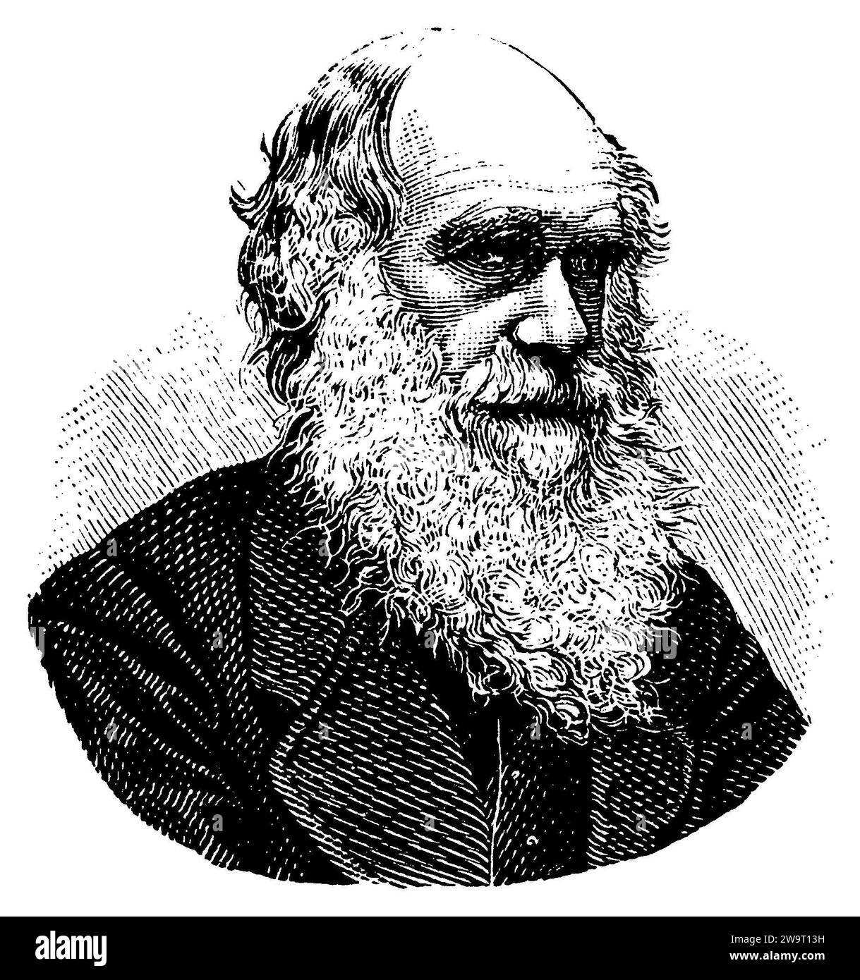 Charles Darwin (1809-1882), naturaliste et biologiste anglais, (livre d'images, 1881), Charles Darwin (1809-1882), britischer Naturforscher, Begründer der modernen Evolutionstheorie (1809-1882), Charles Darwin (1809-1882), naturaliste anglais, pionnier de la théorie moderne de l'évolution Banque D'Images Charles Darwin (1809-1882), naturaliste et biologiste anglais, (livre d'images, 1881), Charles Darwin (1809-1882), britischer Naturforscher, Begründer der modernen Evolutionstheorie (1809-1882), Charles Darwin (1809-1882), naturaliste anglais, pionnier de la théorie moderne de l'évolution Banque D'Images