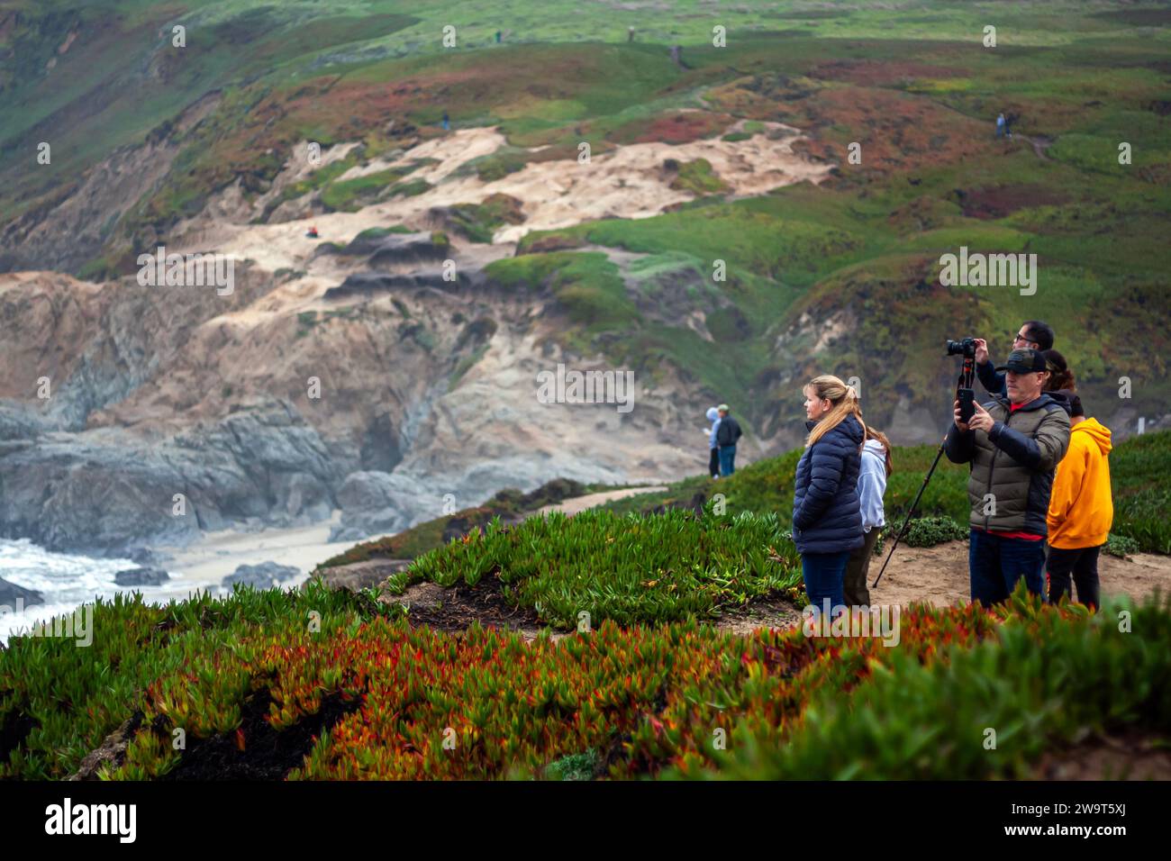 Les gens observent d'énormes vagues de tempête au large des côtes du nord de la Californie en hiver, debout sur les falaises parmi les plantes de glace et regardant l'océan Banque D'Images