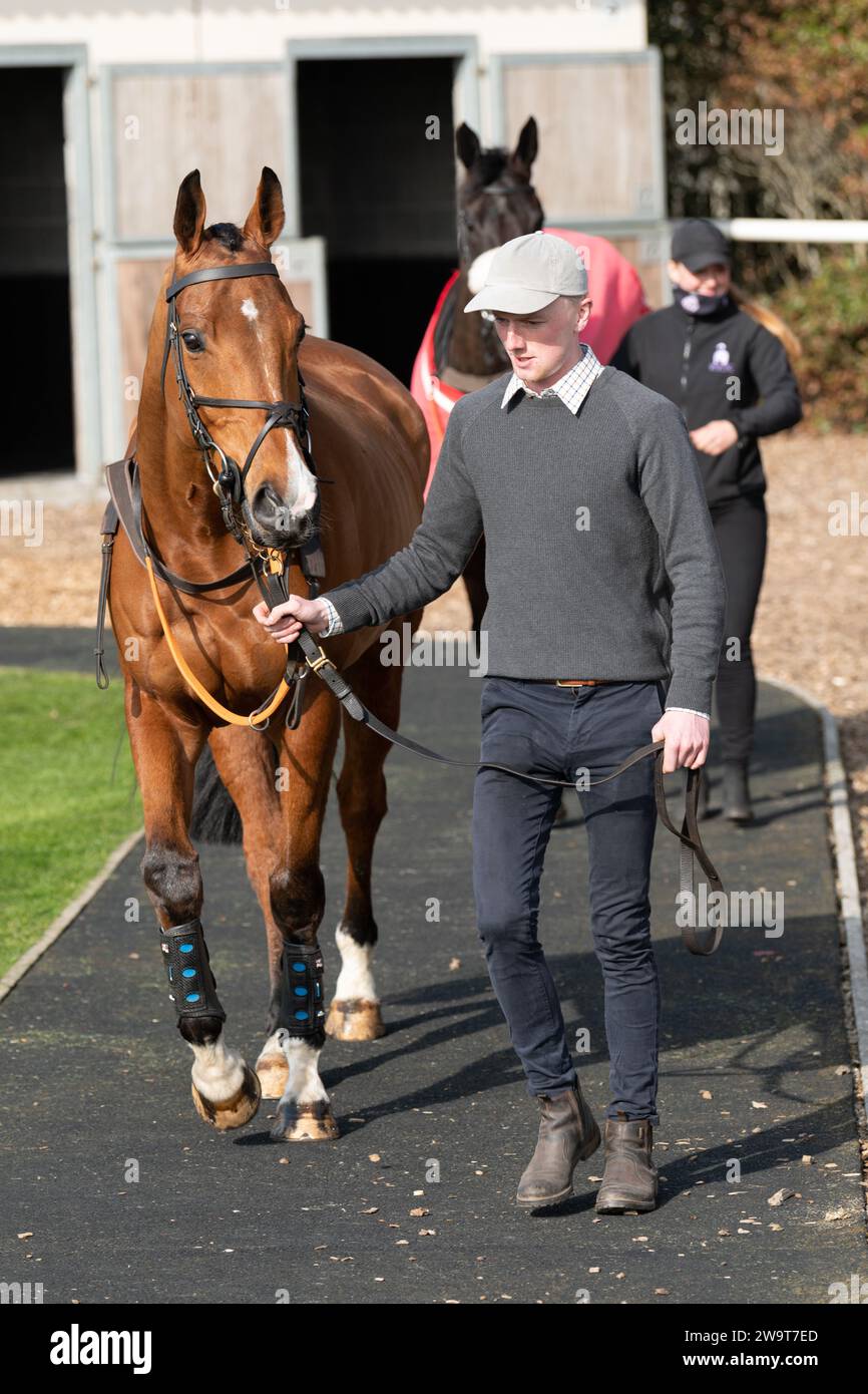 Bally Dun, monté par Peter Summers et entraîné par Ryan Chapman, courant sur haies à Wincanton, le 21 mars 2020 Banque D'Images