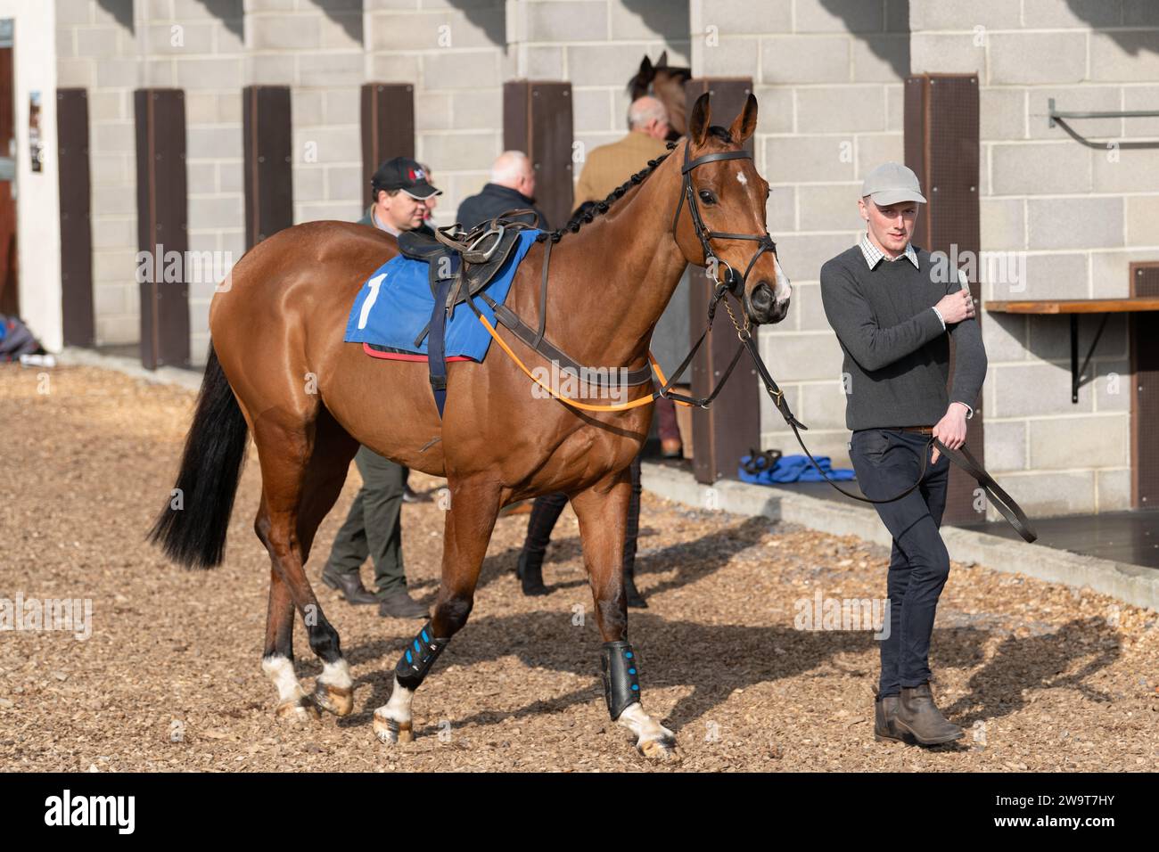 Bally Dun, monté par Peter Summers et entraîné par Ryan Chapman, courant sur haies à Wincanton, le 21 mars 2020 Banque D'Images