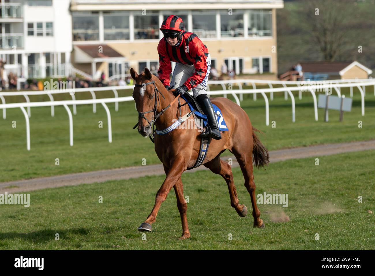 Phoenix Risen, entraîné par Jeremy Scott et monté par Rex Dingle, court dans la haie handicap à Wincanton, le 21 mars 2022 Banque D'Images