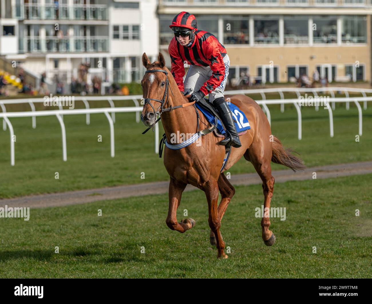 Phoenix Risen, entraîné par Jeremy Scott et monté par Rex Dingle, court dans la haie handicap à Wincanton, le 21 mars 2022 Banque D'Images