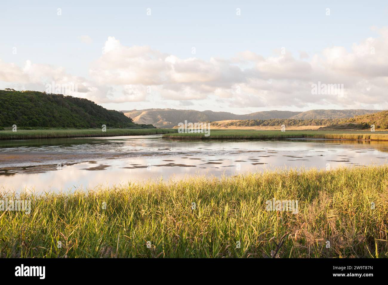 Aire River Campground, parc national de Great Otway, Victoria, Australie Banque D'Images