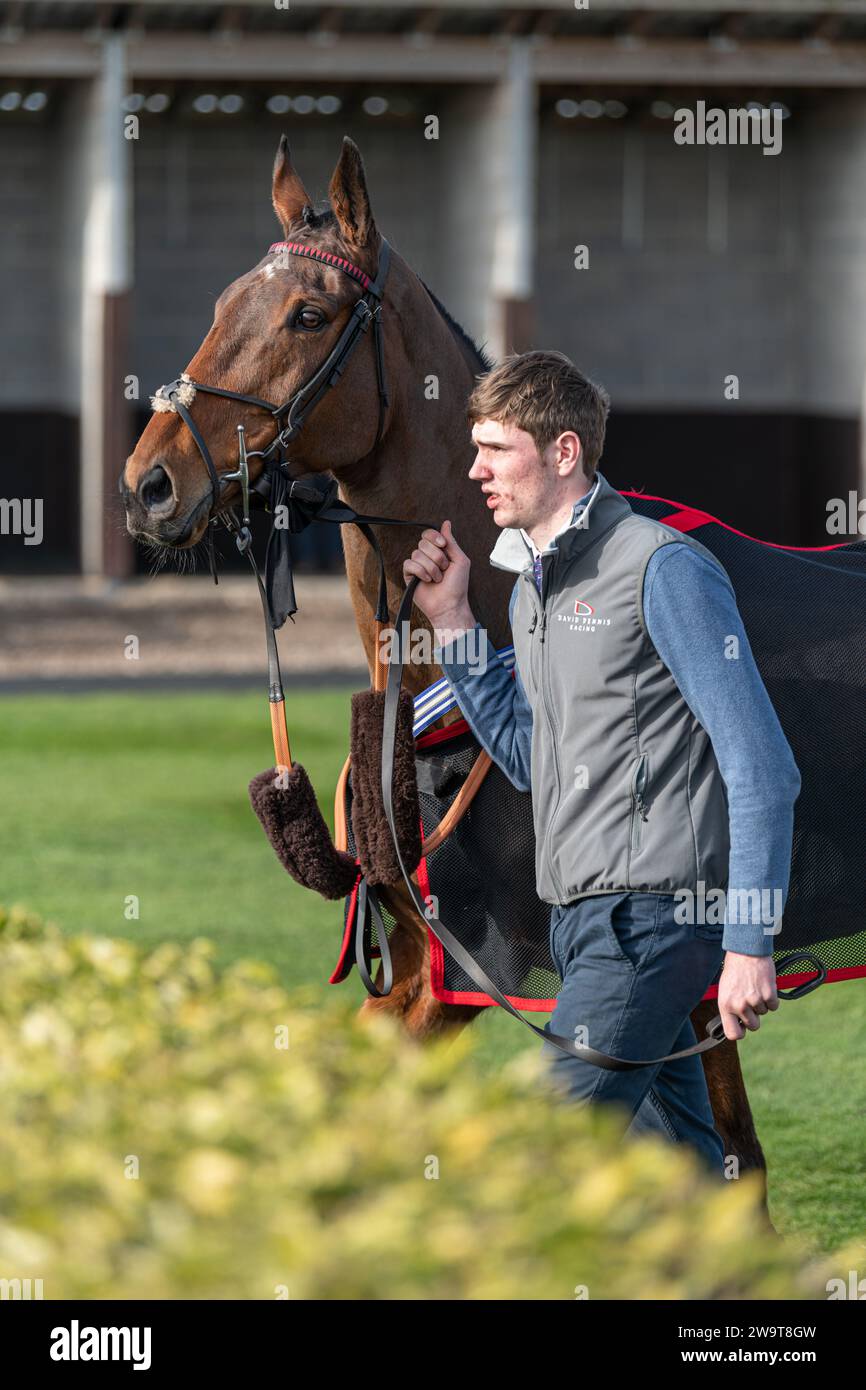 Broken Quest marchée dans le ring pré-parade Banque D'Images