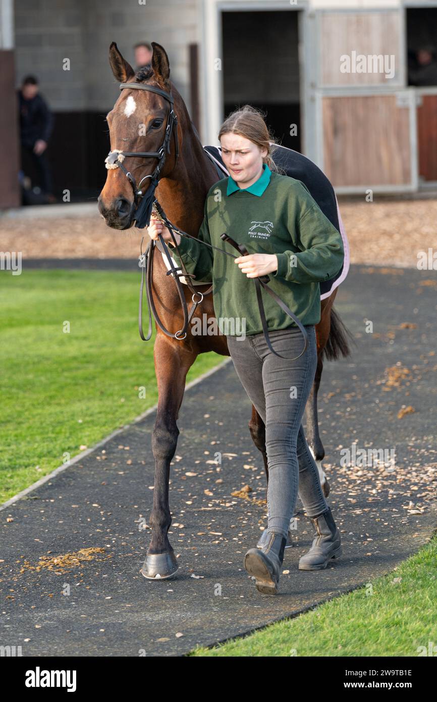 No.12 Miss Harriet étant menée aournd l'anneau de pré-parade à Wincanton, le 21 mars 2022 Banque D'Images