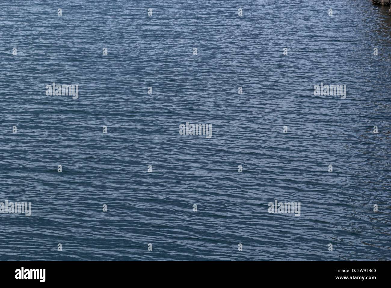 Une image d'un beau fond d'eau. Banque D'Images
