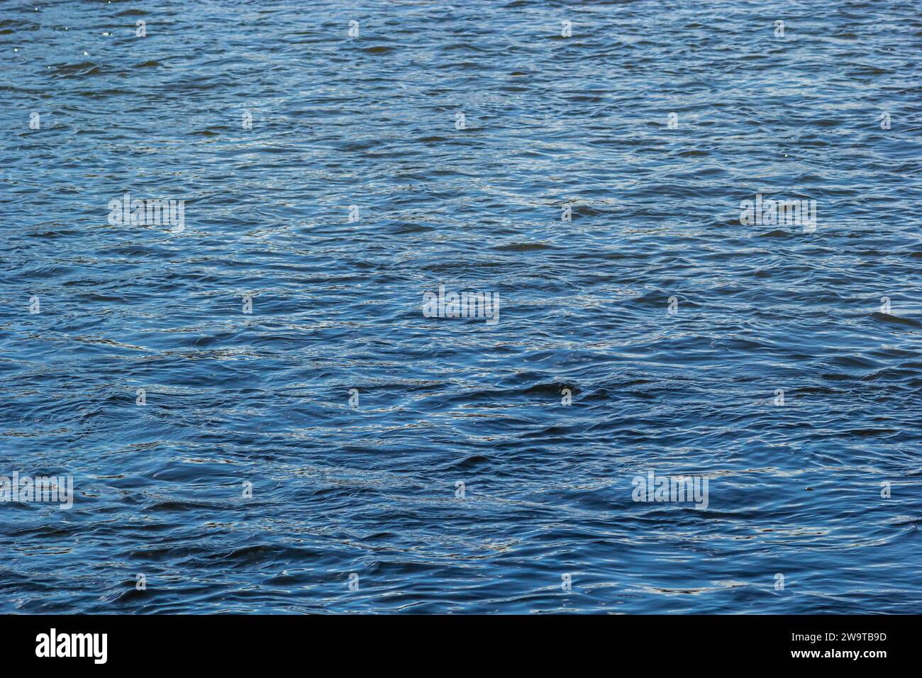 Vagues d'eau fond de texture bleu foncé. Banque D'Images