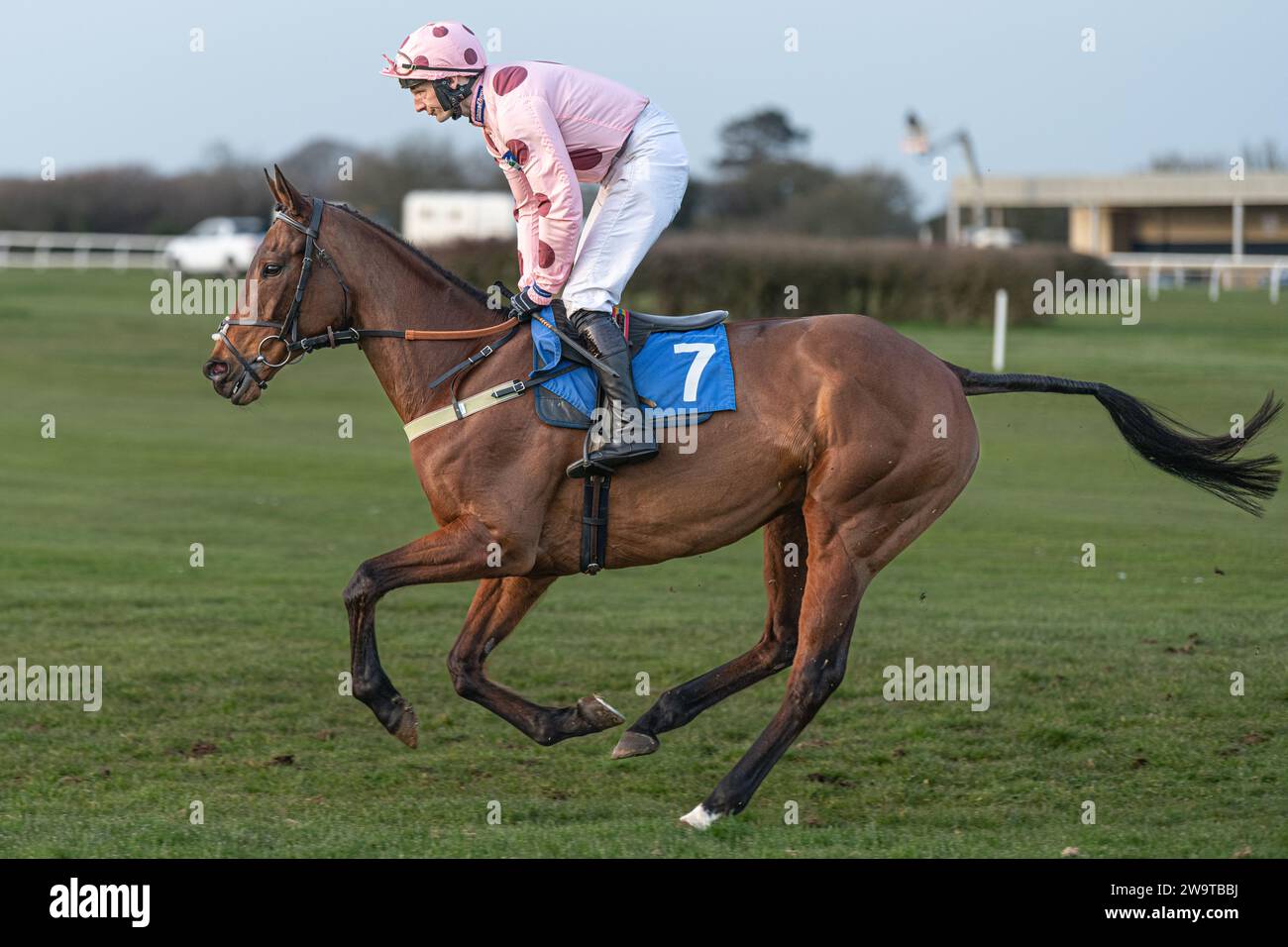 Allez-y, monté par James Best et entraîné par Mitchell Hunt, courant dans la haie handicap à Wincanton, le 21 mars 2022 Banque D'Images