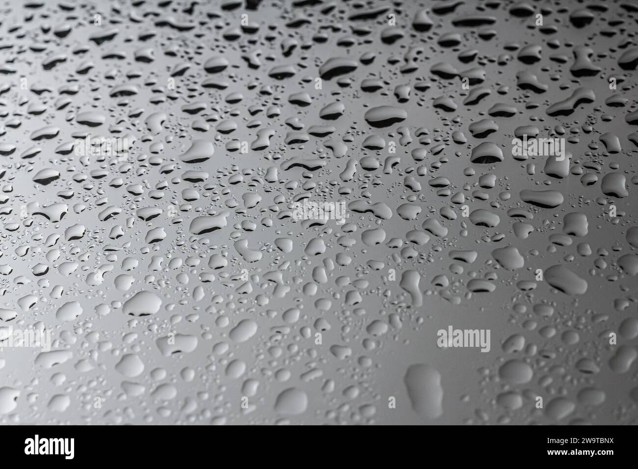 Gouttes d'eau sur un fond de couleur. Focus sélectif. Gris. Banque D'Images