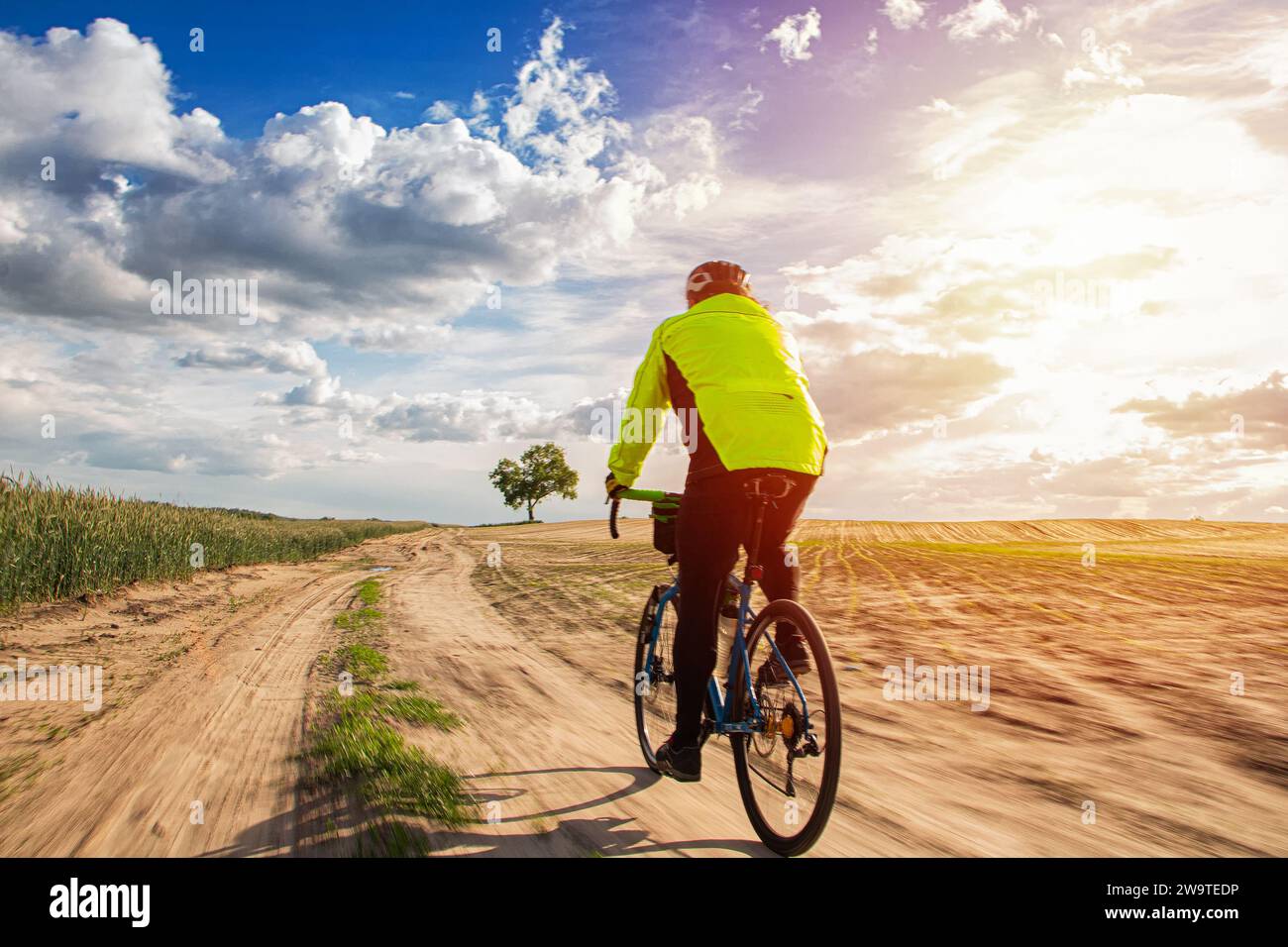 Cycliste sur un vélo de randonnée monte sur une route sablonneuse le long d'un champ à un arbre solitaire. Mise au point sélective. Banque D'Images