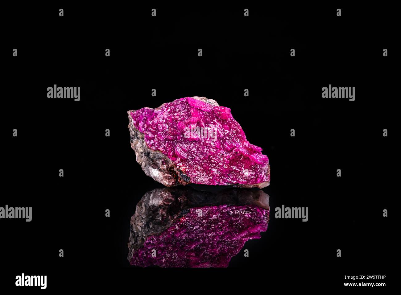 Dolomite rose portant du cobalt isolée sur fond noir. gros plan macro gros plan brut brut non poli pierre semi-précieuse. Banque D'Images