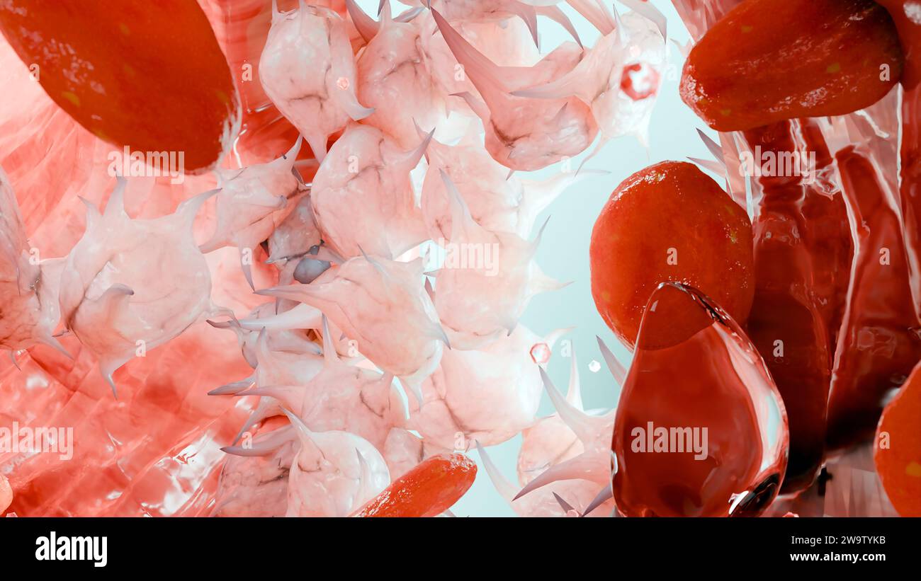 Hémostase. Globules rouges et plaquettes dans le vaisseau sanguin, vasoconstriction, processus de cicatrisation. Embolies de caillots hémorragiques, hémophilie. fibrino Banque D'Images