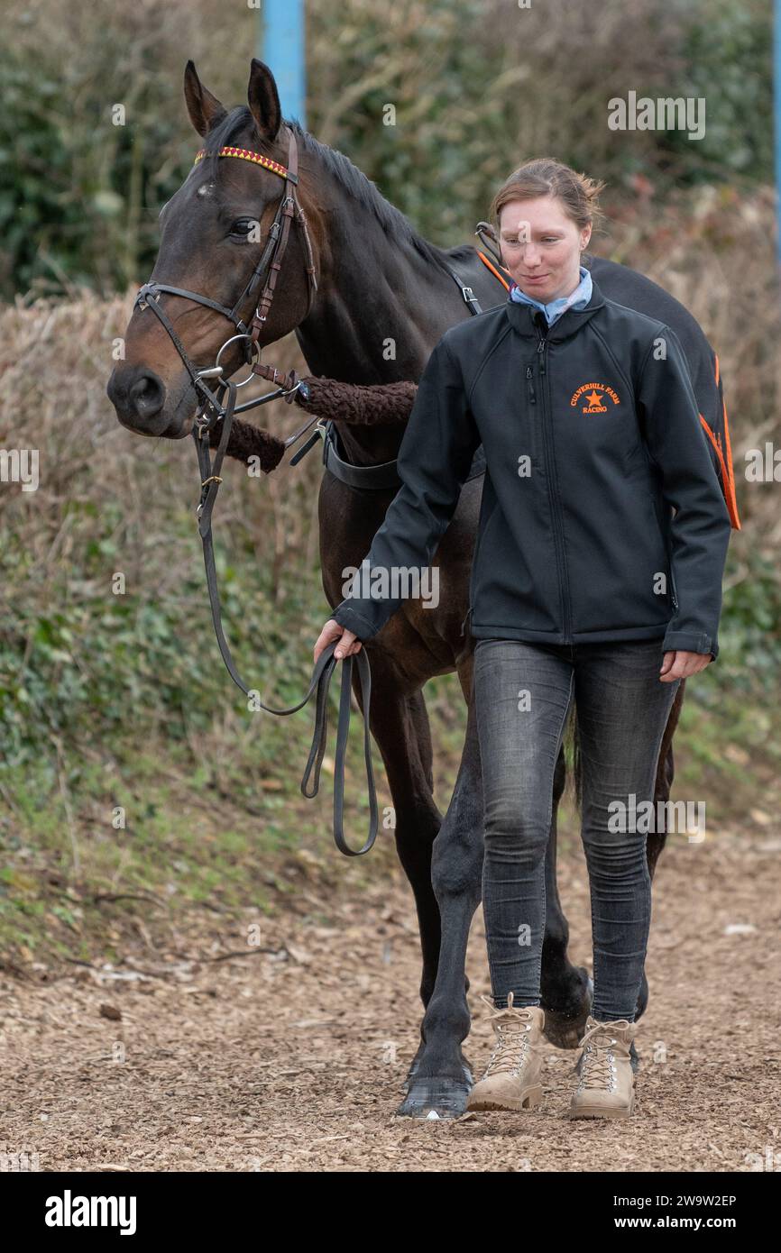 Favori de Sivola, monté par David Noonan et entraîné par Nick Williams, se rendant à pied sur le terrain de parade à Wincanton, le 10 mars 2022 Banque D'Images