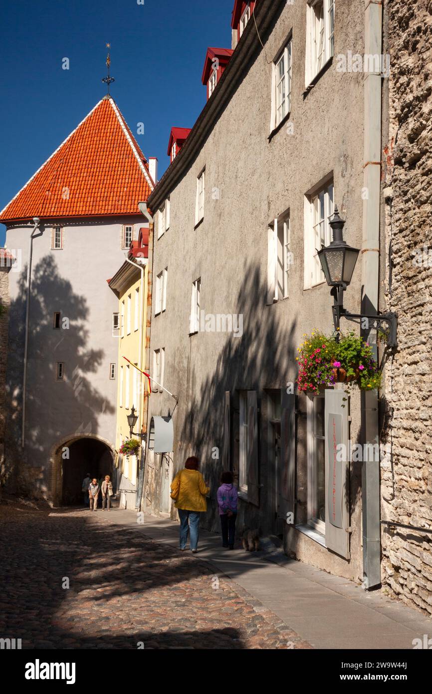 Arche dans le mur de la vieille ville médiévale de Tallinn en Estonie en Europe de l'est Banque D'Images