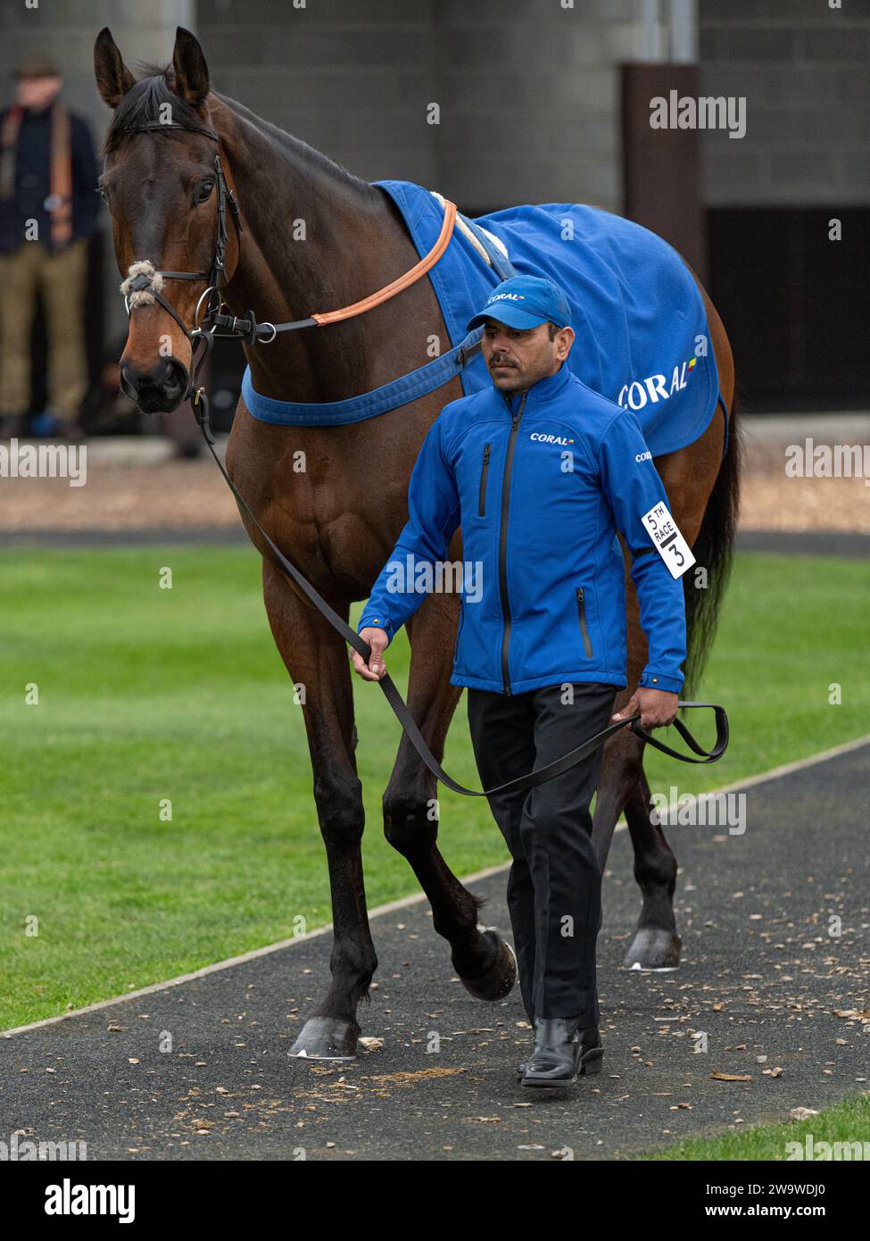 Bold Conduct, monté par Brendan Powell et entraîné par Colin Tizzard, en course à Wincanton, le 10 mars 2022 Banque D'Images