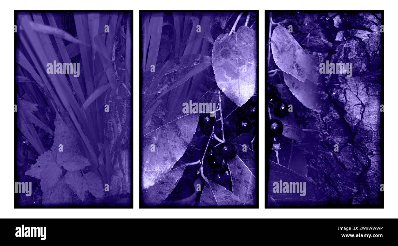 Triptyque mural abstrait élégant. Banque D'Images