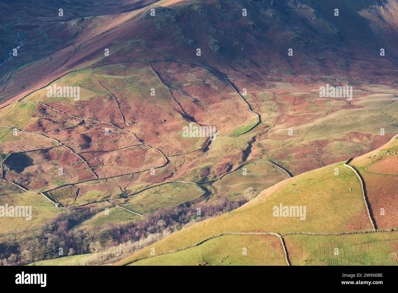 Murs de pierre sur les pentes inférieures de Steel Fell, Grasmere, Lake District, Cumbria Banque D'Images