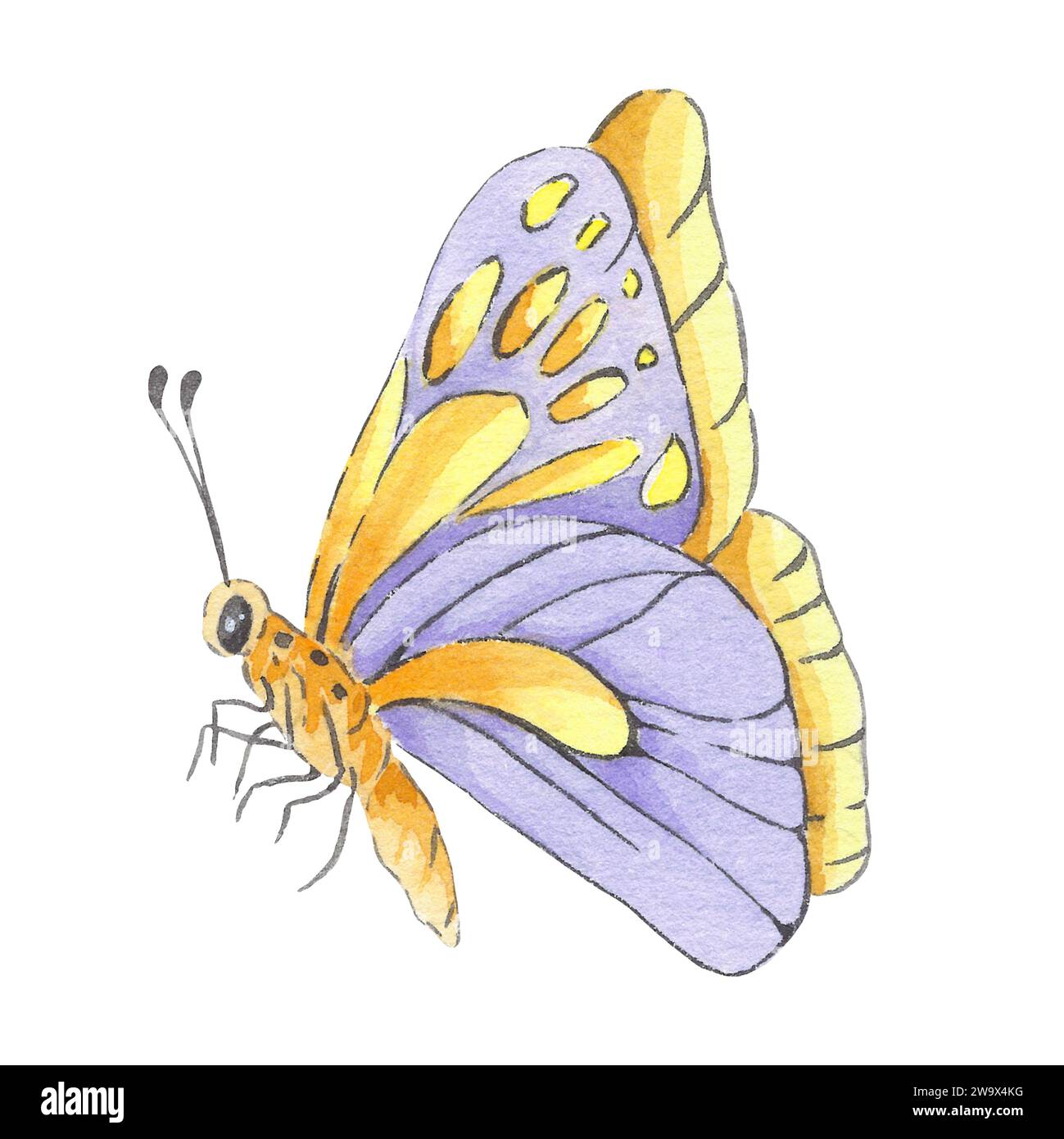 Papillon violet aquarelle isolé sur fond blanc dessiné à la main. Illustration jaune dans le style botanique pour logo de conception, invitation de mariage, postc Banque D'Images