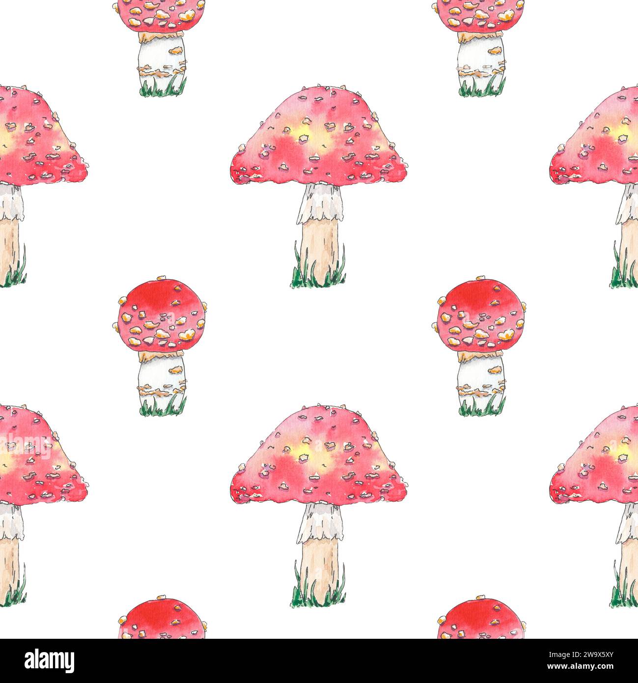 Mashrooms à l'aquarelle mouche modèle sans couture agaric dessiné à la main dans un style botanique. Art de la nature pour affiche de conception, papier peint, textile, fond Banque D'Images