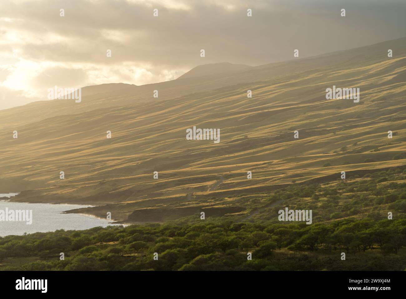 La Piilani Highway de Maui dévoile une vue imprenable sur les collines ensoleillées et l'océan Pacifique, soulignée par les teintes dorées chaudes du soleil couchant. Banque D'Images