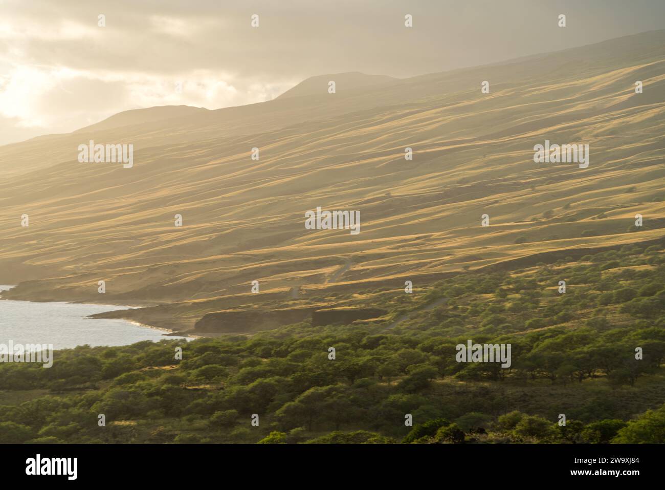 La Piilani Highway de Maui dévoile une vue imprenable sur les collines ensoleillées et l'océan Pacifique, soulignée par les teintes dorées chaudes du soleil couchant. Banque D'Images