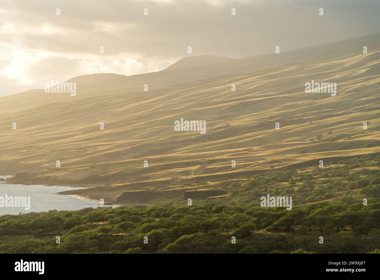 La Piilani Highway de Maui dévoile une vue imprenable sur les collines ensoleillées et l'océan Pacifique, soulignée par les teintes dorées chaudes du soleil couchant. Banque D'Images
