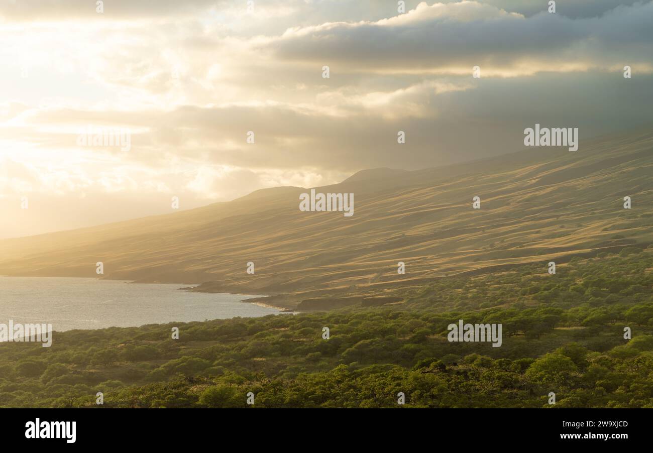 La Piilani Highway de Maui dévoile une vue imprenable sur les collines ensoleillées et l'océan Pacifique, soulignée par les teintes dorées chaudes du soleil couchant. Banque D'Images