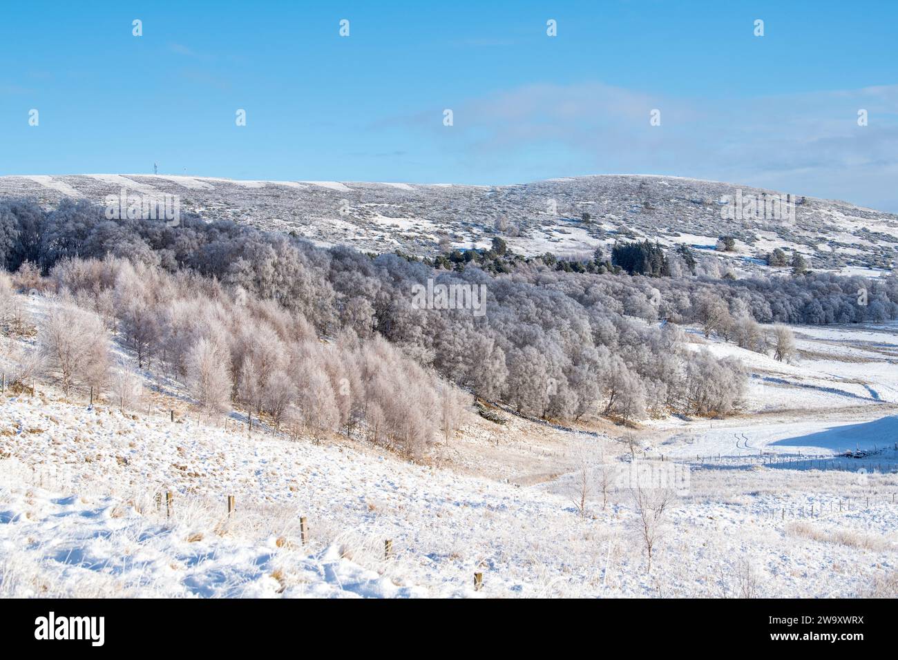 Neige et gel de décembre dans les Cairngorms, Highlands, Écosse Banque D'Images