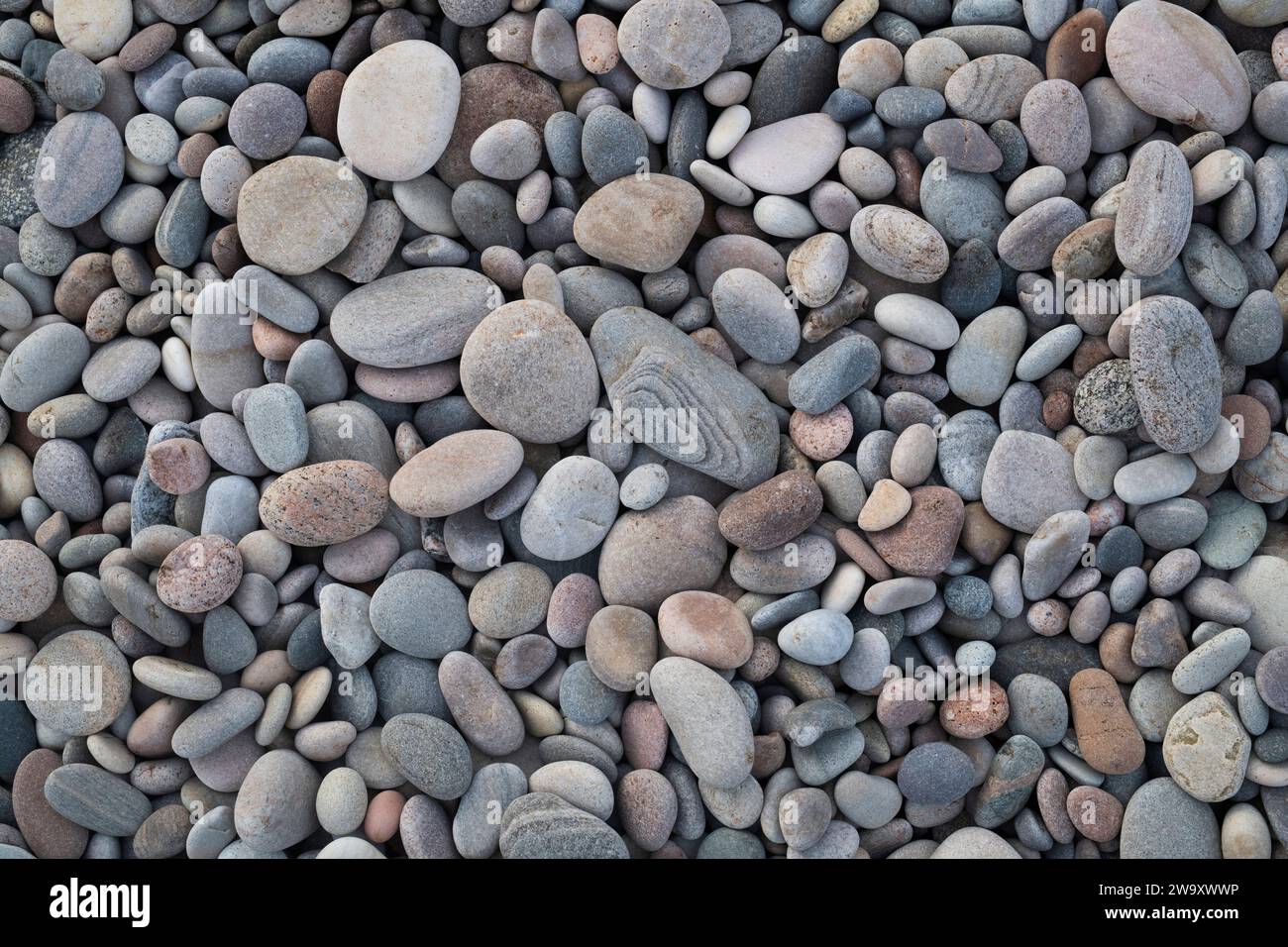 Pebbles sur la plage. Morayshire, Écosse Banque D'Images