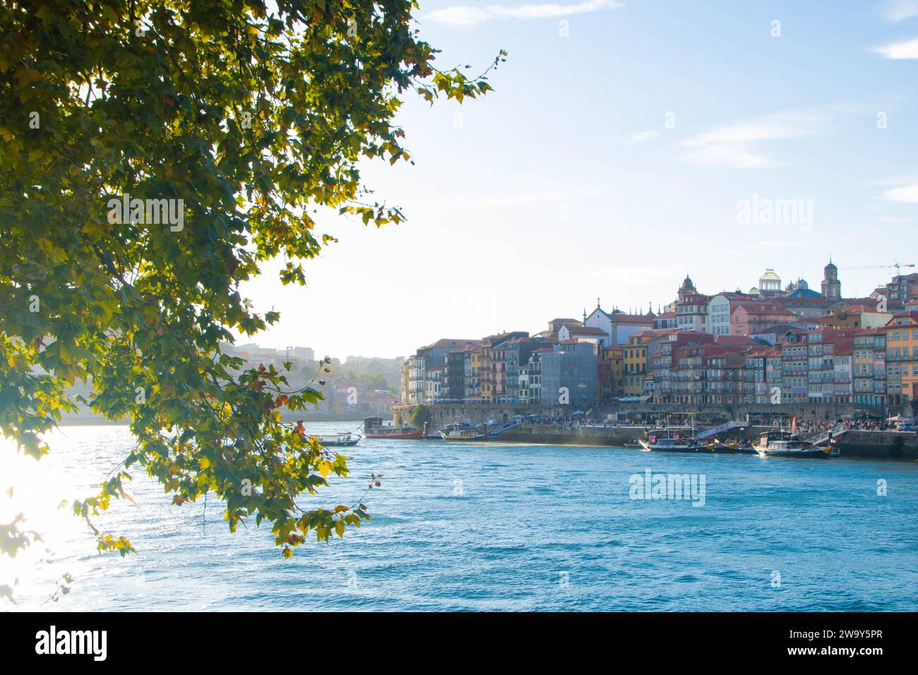 Vue de la vieille ville de Porto depuis le pont Dom luis, Portugal Banque D'Images