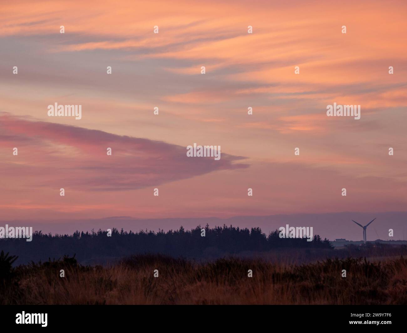 Lever de soleil sur un paysage froid avec des éoliennes au loin Banque D'Images