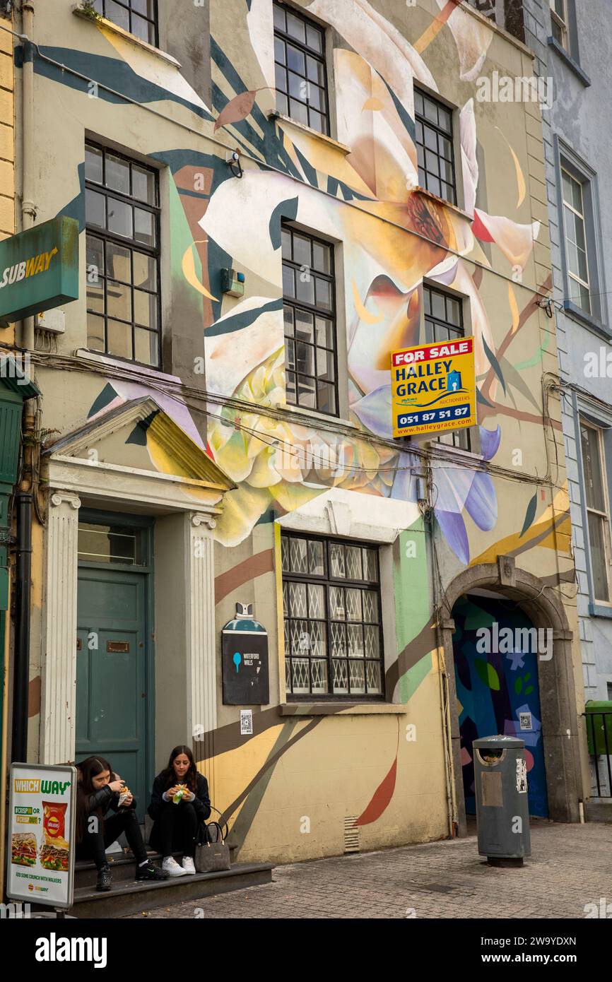 Irlande, Munster, Waterford, peinture murale O’Connell Street sur un bâtiment vide en attente de vente Banque D'Images