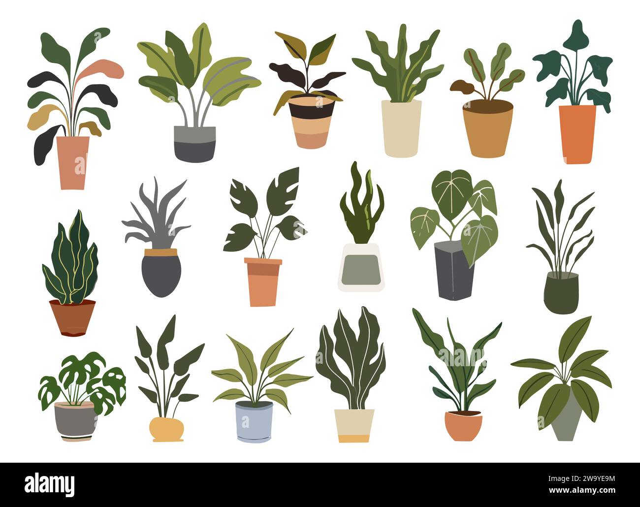Ensemble de différents vecteurs de plantes de maison en pot d'intérieur Illustration de Vecteur