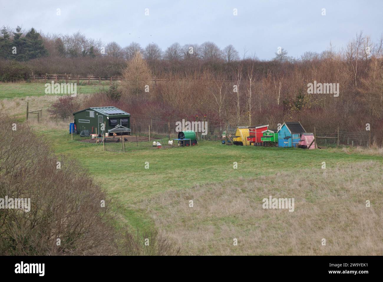 Curdle Hill Farm, Chadlington, Oxfordshire ( Diddly Squat Farm ) huttes de poules en plein air et poules sur Jeremy Clarkson Diddly Squat Farm Banque D'Images
