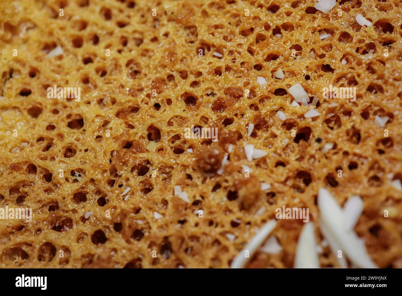 ghewar traditionnel indien délicieux gros plan doux pris dans les détails de différents perceptifs Banque D'Images