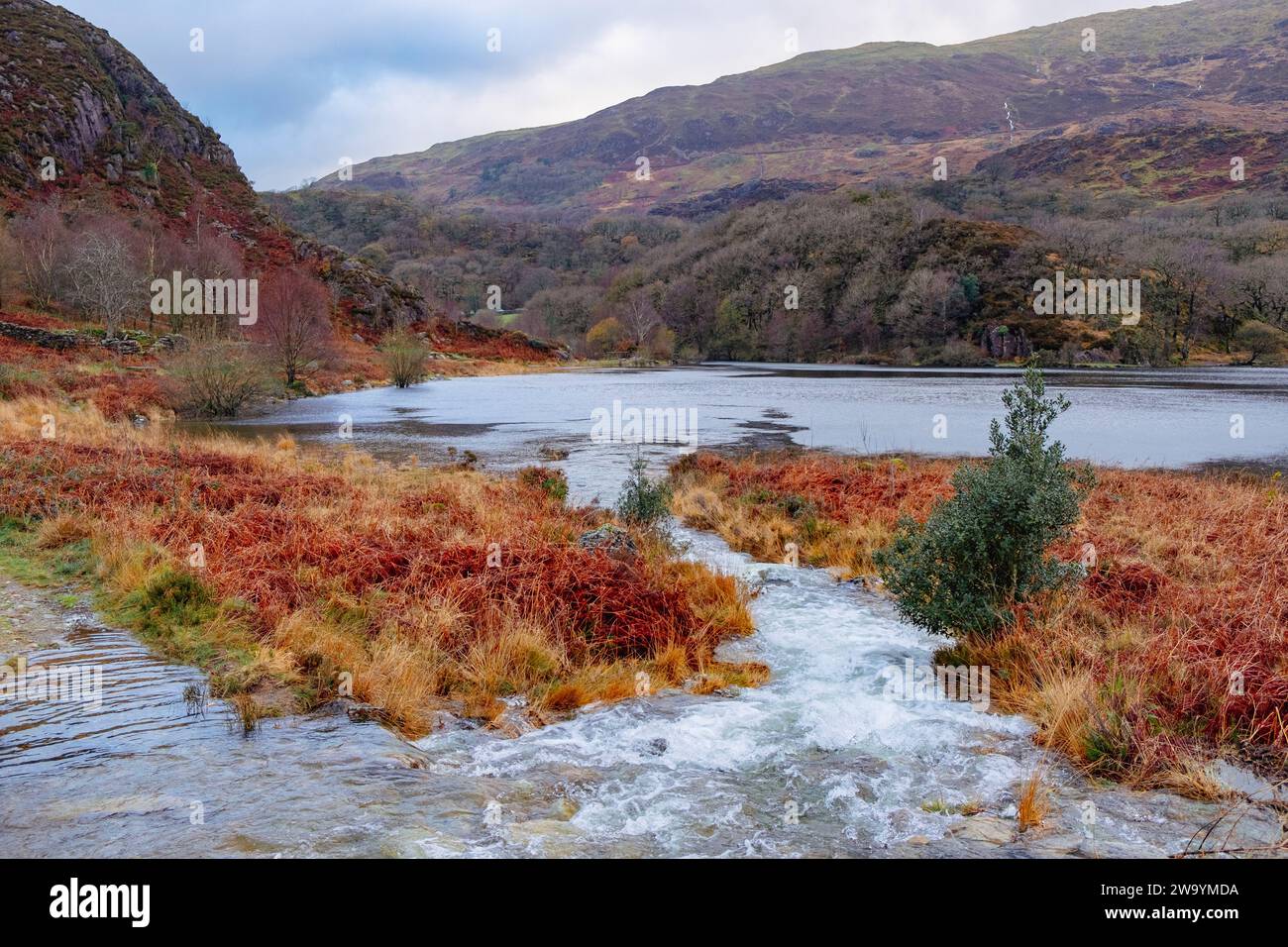 Petit ruisseau se jetant dans le lac Llyn Dinas dans la vallée de Nant Gwynant en hiver dans le parc national de Snowdonia. Nantgwynant, Bethesda, Gwynedd, nord du pays de Galles, Royaume-Uni Banque D'Images