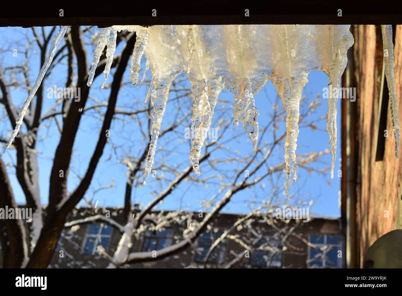 Glaces en fusion suspendues au toit avec fond bleu ciel.Jour ensoleillé.Chaude journée d'hiver. Banque D'Images