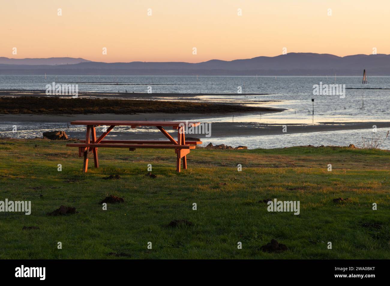 Banc de pique-nique sous le soleil du matin au port de rampe de bateau Nahcotta de Peninsula WA USA Banque D'Images
