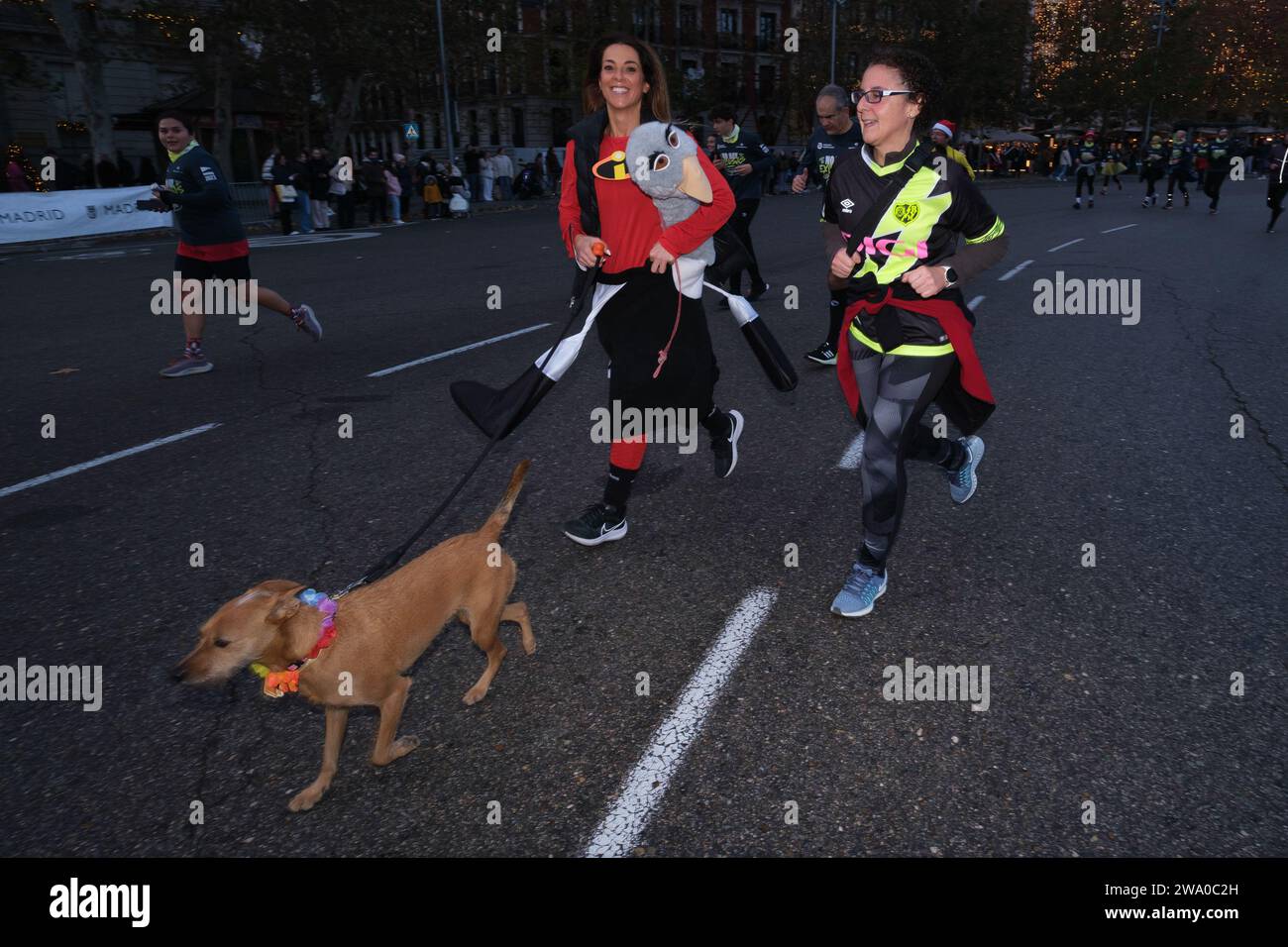 Un coureur lors de la course populaire San Silvestre Vallecana 2023, le 31 décembre 2023 à Madrid, Espagne. Banque D'Images