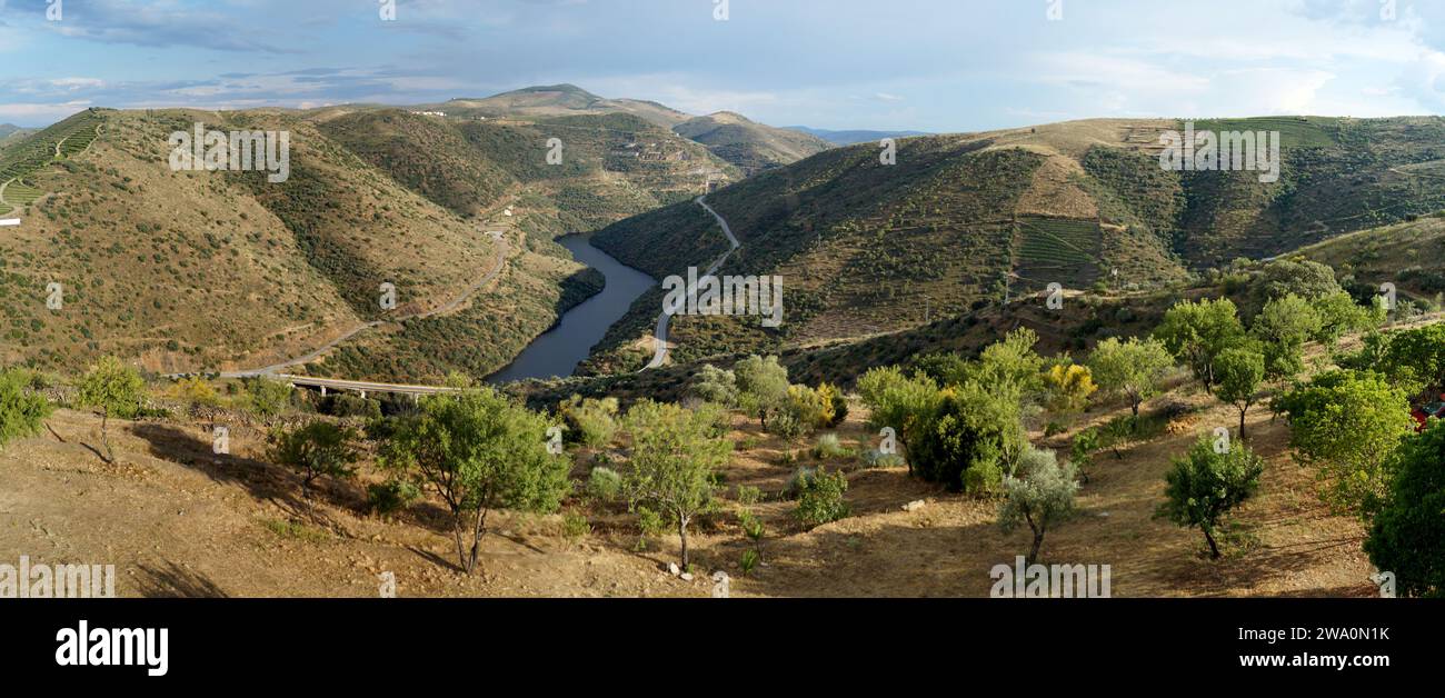 Région viticole du Haut-Douro, vue panoramique depuis le point d'observation près de Vila Nova de Foz CoA, dans le district de Guarda, Portugal Banque D'Images